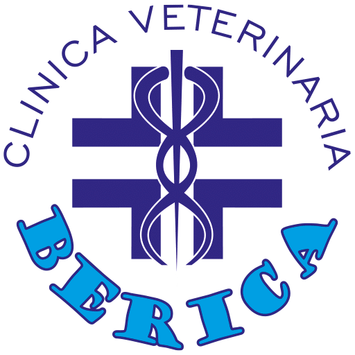 Logo Clinica Veterinaria Berica Vicenza
