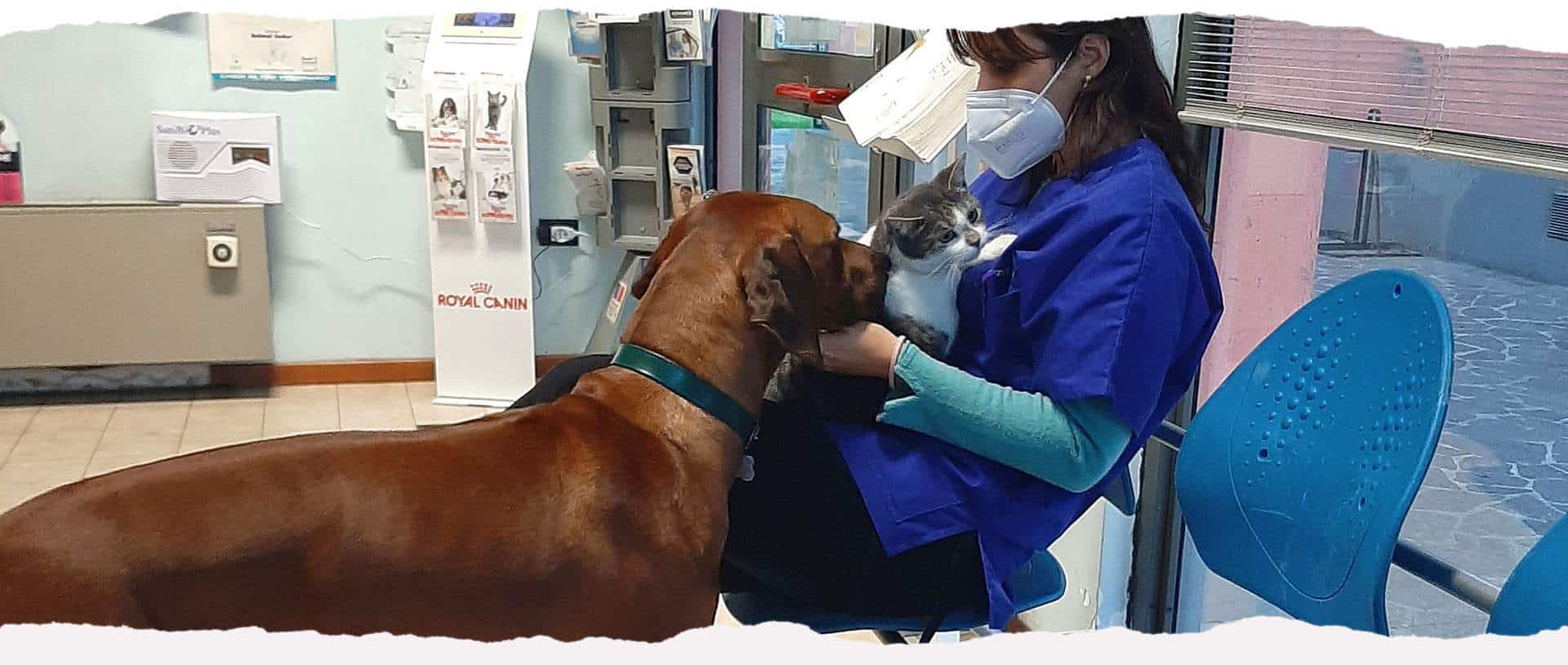 Clinica Veterinaria Berica Vicenza